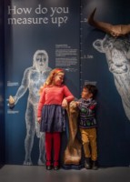 How do you measure up - children enjoying the Discover Bucks Galleries.jpg
