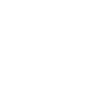 Buckinghamshire Council - inverted