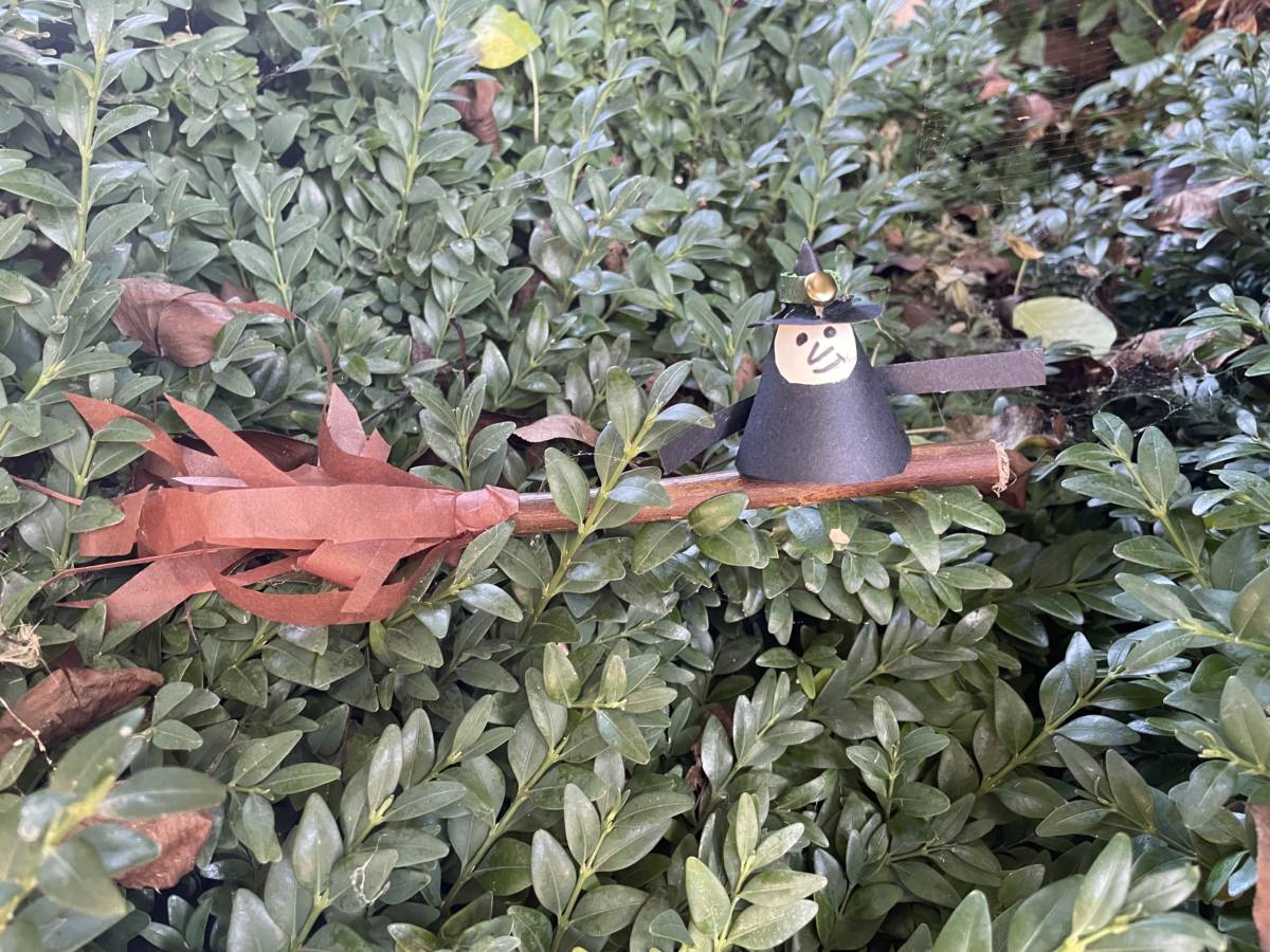 Witch and broom