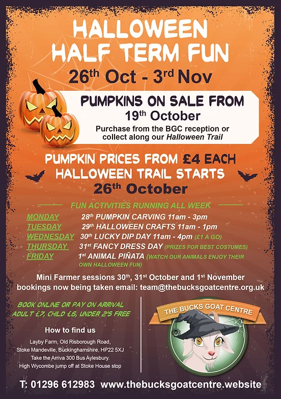 Halloween Flyer 2024