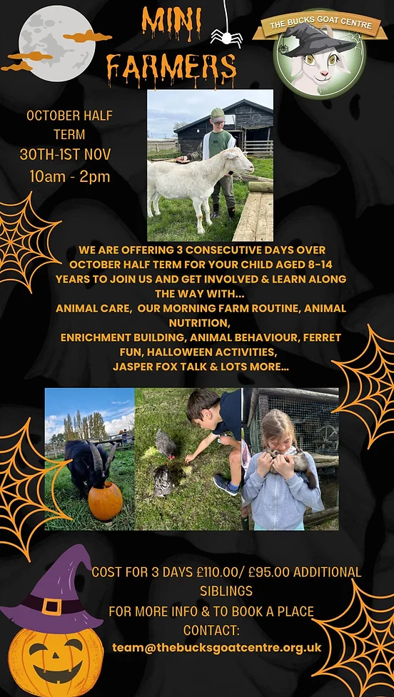 Mini Farmers Halloween Poster 2024